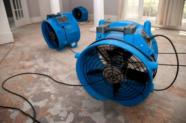 Best Local water damage restoration  in Bellevue, IA