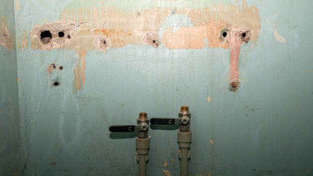 Best Flooded house restoration  in Bellevue, IA