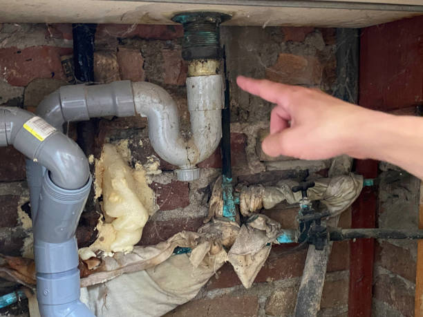  Bellevue, IA Water damage restoration Pros