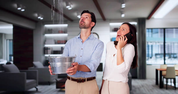 Best Water damage contractors near me  in Bellevue, IA